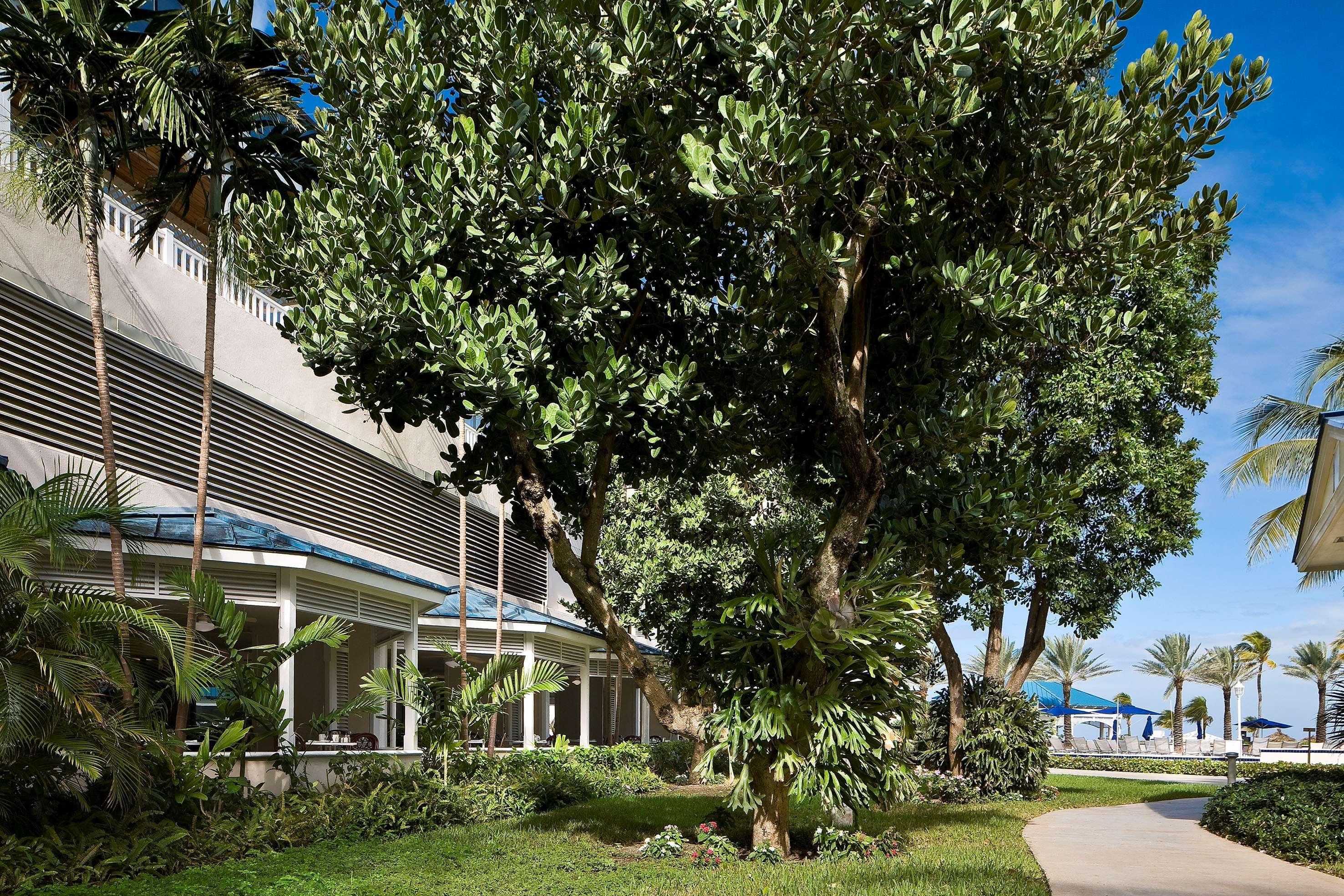 Melia Nassau Beach מראה חיצוני תמונה